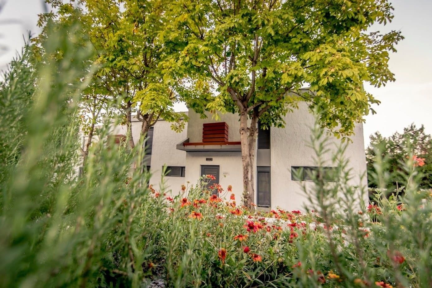 קריופיגי Pleiades Boutique Villas מראה חיצוני תמונה